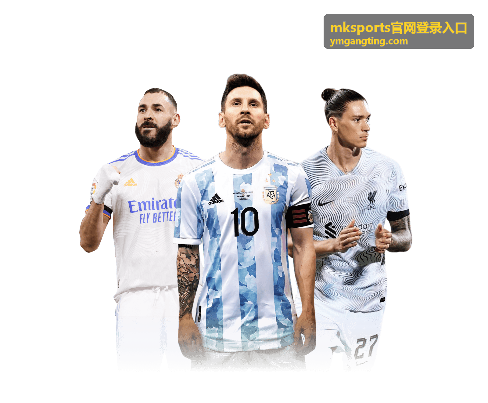 mksports官网登录入口 登录教程